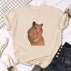 Herr t -skjortor hamster topp kvinnor anime harajuku tshirt kvinnliga designer kläder