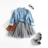 Vestidos de menina meninas vestido outono dos desenhos animados manga longa denim bordado malha crianças vestidos roupas 3 7y