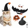 Costumes de chat 270F 4 pièces, ensemble de costumes de vacances, ailes de chauve-souris, collier de chapeau d'halloween pour petits chiens