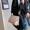 Garden Coussin BB Cross-Body Bag, sac à main Fashion Colors avec sangle en chaîne, sac à bandoulière design