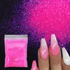 Acrylpulver, Flüssigkeiten, 12 Beutel-Set, 120 g, holografisches Glitzerpulver, Nagelkunst, Dekorationspolitur, glänzendes Pigment für feines Flash-Design, DIY-Nagelzubehör 231019