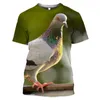 Herr t skjortor vilda duva 3d tryck sommar o-hals t-shirt avslappnad kort ärm överdimensionerad pullover mode streetwear tee tops män kläder