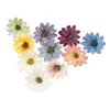 Decorative Flowers 50Pcs 6CM Artificial Scrapbook Christmas Wreaths Home Wedding Background Wall Decor Diy Outdoor Garden Crafts Silk Daisy