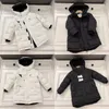 enfant vers le bas manteau vêtements noir couleur designer petite fille blanc mode vêtements d'extérieur vêtements en gros blanc garçons vers le bas manteaux 110-160 cm