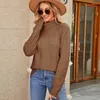 Women's Sweaters Explosive Turtleneck Twist Sweater Autumn And Winter Top Temperament Undershirt