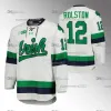 Niestandardowy Notre Dame Fighting Irish NCAA Hockey Jersey 24 Drew Bavaro Nick Leivermann Adam Karashik Brady Bjork Trevor Janicke Jack Williams FI