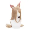 cosplay Eraspooky LOL Game KDA Ahri Wig POP/STAR Cosplay Wigs Women Anime Long Straight Brown Hair with Ear Pincosplay