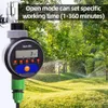 Wyposażenie podlewania automatyczne wyświetlacz LCD Timer Electronic Home Garden Ball Water do nawadniania 21026 Uaktualnienie # 21526 231019