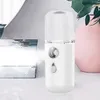 Steamer 30ml Mini USB Sprayer Body Nebulizer Spray Nano Mist Moisturizing Skin Care Vibration Massage Beauty Instrument 231020