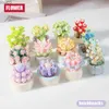 Blocs Mini brique succulente fleur en pot modèle petit ornement bricolage plante bonsaï fleur bloc de construction jouet pour enfants fille cadeau de vacances R231020