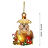 Decorazioni natalizie 1PC Natale acrilico ornamenti pendenti Uova d'oro di Natale per cani Pendenti per albero di Natale Decorazione natalizia Capodanno 2024 x1020