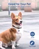 Pawsrealm Smart AirTag per collare per cani con codice QR, supporto AirTag per collare per gatti, custodia AirTag Targhetta per animali personalizzata personalizzata, Profilo animale modificabile, Avviso di posizione