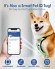 Pawsrealm Smart AirTag voor hondenhalsband met QR-code, kattenhalsband AirTag-houder, AirTag CaseGepersonaliseerde aangepaste huisdiertag, aanpasbaar huisdierprofiel, locatiewaarschuwing