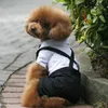 犬のアパレルネクタイウェディングスーツ服コスプレペットアクセサリー夏の通気性のあるフォーマルウェアロパパラペロス
