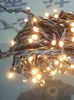 Christmas Decorations 220 V Incandescent Rice Bulb PVC Cable Light String Black Transparent Indoor &Outdoor Use Holiday Decoration