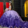Prenses Mor Lilac Quinceanera Elbise Meksika 2024 Sequin Debutante Doğum Günü Vestido De XV Anos Mariachi On altı Charro Vestido de 15 Anos Para Özel