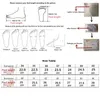 Модельные туфли, большие размеры 46, 47, 48, мужские кожаные деловые мужские деловые мужские повседневные туфли в Корейском стиле с большим каменным узором, британские остроконечные прогулочные туфли Lefu