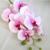 Fiori decorativi 7 teste Real Touch Farfalla Orchidea Artificiale Per La Decorazione Domestica Di Nozze Bouquet Di Fiori Di Seta Phalaenopsis Falso