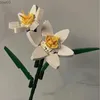 Bloki Build Block Bonsai 3D Model Plant Zabawek Słonefler Flower Chrysanthemum Lily of the Valley Osmanthus Zespół z cegły Prezent R231020