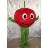 Costumi mascotte Apple ad alte prestazioni Carnevale di frutta di alta qualità Regali di Hallowen Adulti unisex Giochi di fantasia Vestito per le vacanze Vestito per pubblicità all'aperto