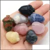 Steen Natuurlijk Kristal Hazelnoot Eikel Steen Pijnboomnoot Mascotte Meditatie Chakra Reiki Genezing Edelstenen Gepolijst Cadeau Gebruik Collectie En Dhqvy