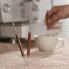 Agulhas de arte de café Fuego Caneta de arte de jarro de cabeça dupla com caixa de armazenamento Aço inoxidável Agulha de café Espuma Latte Art Pen Ferramentas WDT Acessórios para barista 231018