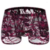 Underpants ricamato di biancheria intima in pizzo gli uomini vedono attraverso le mutandine boxers Peni Transparent Intimate Erotic Lingerie Nightwear