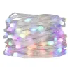 クリスマス装飾DC5V 15202530mm50mm100mmピッチSK6812RGBW LED PEBBLE SEED PIXEL STRING LIGHTアドレス可能なフルカラーIP67クリアワイヤ231019