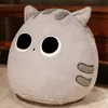 Cartoon ball cat throw pillow plush cat doll office lumbar cushion