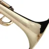 Amerikaanse professionele trompet B-tune messing vergulde drietonige trompettrompet voor beginners om examenbandinstrumenten te bespelen