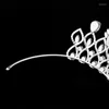 Заколки для волос Короны принцессы HADIYANA аксессуары ювелирные изделия классический дизайн для женщин свадьба с цирконом BC5258 тиара головные уборы