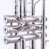 Die professionelle Trompete mit silbernem Tropfen E bis D und zwei Sätzen klangverändernder Röhren kann den Ton eines Trompetenhorns in professioneller Qualität umschalten