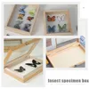 Cornici Custodia per campioni di insetti Espositore per insetti Farfalle in legno Cornice antipolvere Scatola per ombre vintage
