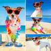 Dog Apparel European American Pet Headwear Seaside Resort Halloween Wreath Wedding Ornaments Beach Flower