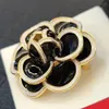 High Quality Pins Brooches New Internet Celebrity Women Brooch Fashion Designer Pins Pearl Crystal 18k Gold Plated Silver Copper Woman Accessories For Dinner Party