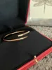 21 Bangle Luxe armbanden Mode unisex designer armband 316L roestvrij staal verguld 18K gouden sieraden Valentijnsdag