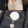 Collane di design con ciondolo girocollo per donna Lettera di marca placcata in oro Sier Acciaio al titanio Moda Collana da donna Catena di perle Accessori per gioielli da sposa