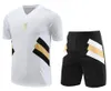 23 24 Juventus Soccer Jerseys Suites de formation à manches courtes Pogba di Maria Vlahovic Chiesa 2023 2024 Tracksuit Men Kid Kit Kit Football Kit Uniform Sportswear