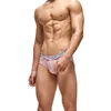 Mutande Intimo maschile sexy Intimo da uomo in cotone traspirante Marsupio con sollevamento del sedere Vita bassa Mutandine Sissy Slip esotici