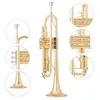 Tromba professionale americana Tromba B-tune in ottone placcato oro a tre toni per principianti per suonare strumenti per banda d'esame