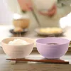 Dinnerware Sets 5 Bowls Unbreakable Cereal Wheat Lightweight For Rice Noodle Soup Kitchen Salad Bowl Vessel