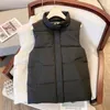 Damesvest, studentenbovenkleding, veelzijdige herfst en winter, los mouwloos hemdje, verdikt isolatiejack, vest