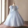 Graceful Shiny Lace Flower Girl Dresses For Wedding Sky Blue Blingbling A Line Long Sleeves Toddler Pageant Party Gowns Tulle Sweep Train First Holy Communion