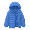 Abrigo de plumón para niños, chaqueta fina para niños, párrafo corto privado Cuhk, acolchado de algodón para bebé, 2023