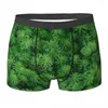Sous-vêtements Green Moss Sous-vêtements Feuilles Imprimer Hommes Culottes Imprimé Confortable Trunk Shorts Slips Grande Taille