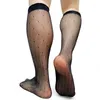 Chaussettes pour hommes de haute qualité Mens Softy Nylon Silk Transparent Plaid Sheer Sexy Gay Male Stocking Fetish Collection Tube Tuyau Bas