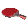 Table Tennis Raquets 1PCS 6 Star Racket短いハンドルカーボンプロテッショナルピンポンブレードパドル231020で二重顔面の吹き出物