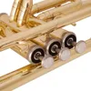Tromba professionale americana Tromba B-tune in ottone placcato oro a tre toni per principianti per suonare strumenti per banda d'esame