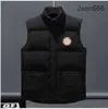 Canda Goose Designer Down Vest Poche Vestes Parkas Manches Longues Zipper Badges Hommes Downs Canda Goose Veste Casual Manteau Tops Outwear Multiple Couleur RIWU