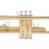 Tromba professionale americana Tromba B-tune in ottone placcato oro a tre toni per principianti per suonare strumenti per banda d'esame